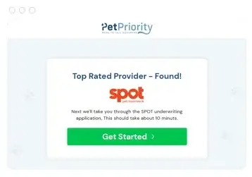 Golden Retriever puppy