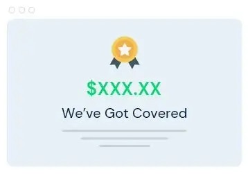 Cocker Spaniel and Grey Cat